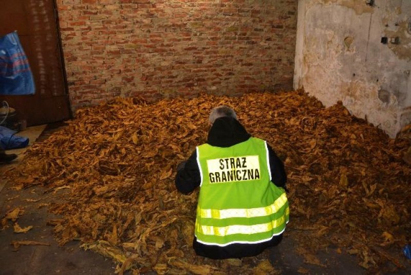 Zlikwidowali nielegalą fabrykę. Znaleźli 5,5 tony tytoniu - fot. strazgraniczna.pl