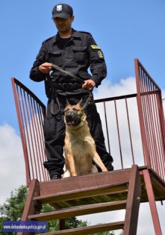 Policyjne psy zdawały egzamin. Wszystkie dostały atesty (Foto) - 0