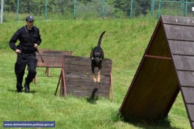 Policyjne psy zdawały egzamin. Wszystkie dostały atesty (Foto) - 2
