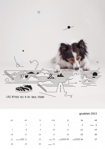 Kalendarz ze zdjęciami psów, które szukają domu (FOTO) - 24