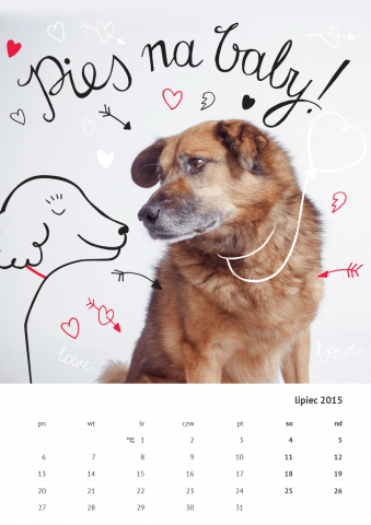 Kalendarz ze zdjęciami psów, które szukają domu (FOTO) - 14