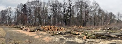 Fort Owcza Góra: Wycinka drzew do prokuratury - 2