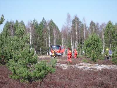 Strażacy podpalili 5,5 hektara wrzosowisk (ZDJĘCIA) - 8