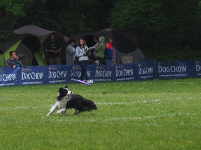 Latające psy w Parku Połudiowym (ZOBACZ ZDJĘCIA) - 3