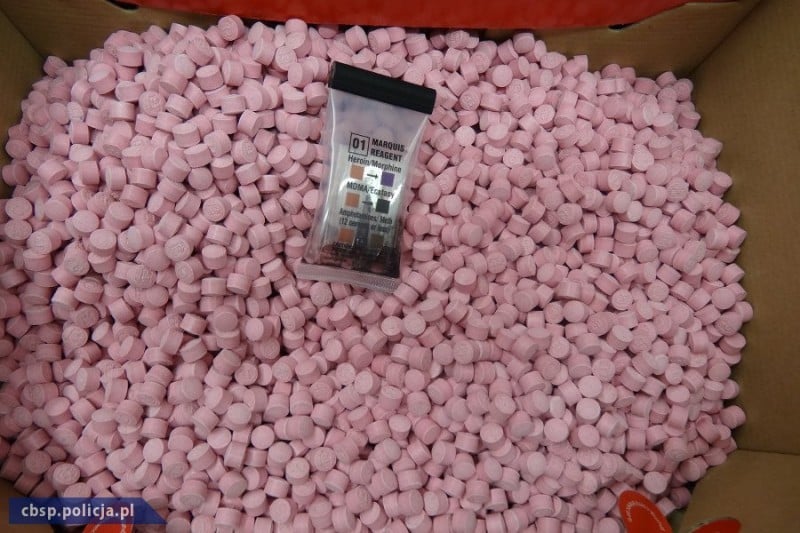 50 kg amfetaminy i 10 tys. tabletek extasy w wieprzowinie - fot. www.dolnoslaska.policja.gov.pl