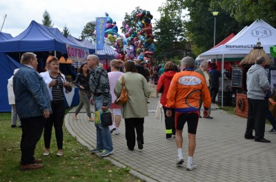 Festiwal lasu w Rudzie Żmigrodzkiej (ZDJĘCIA) - 25